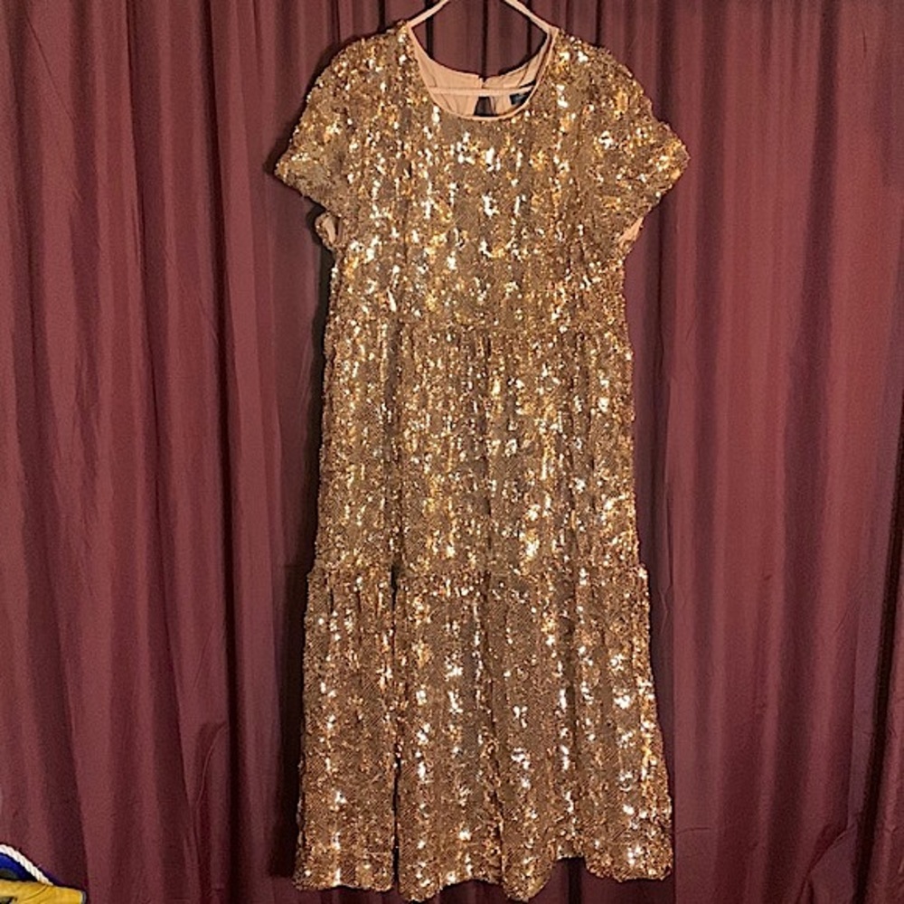 Maeve by Anthropologie sequin dress size woman’s L